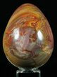 Colorful, Polished Petrified Wood Egg - Triassic #58515-1